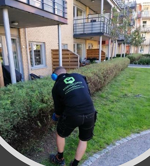 Bilde fra arbeidsgiver
