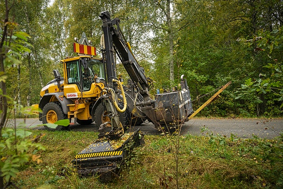 Bilde 6 av 10 i jobbannonse-galleriet