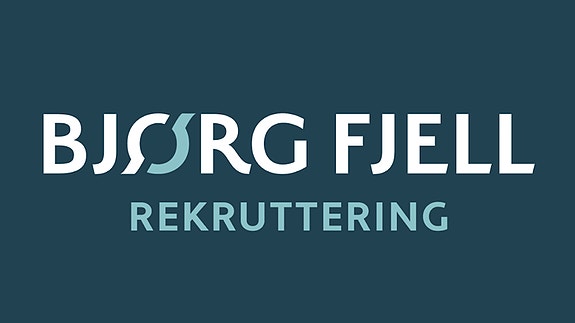 Bjørg Fjell Rekruttering Drammen AS logo