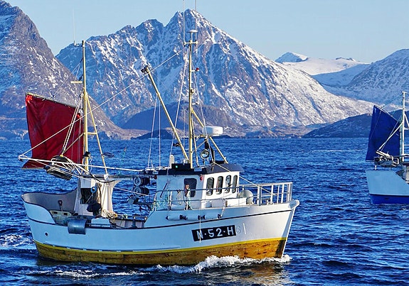 Sjark/fiskebåt ønskes kjøpt 2 of 2