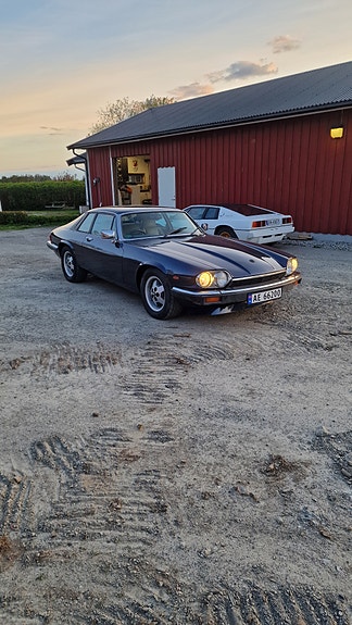 Jaguar XJS 15 of 19