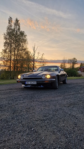 Jaguar XJS 14 of 19