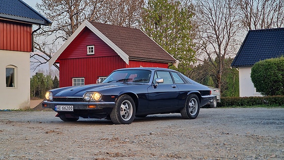 Jaguar XJS 12 of 19