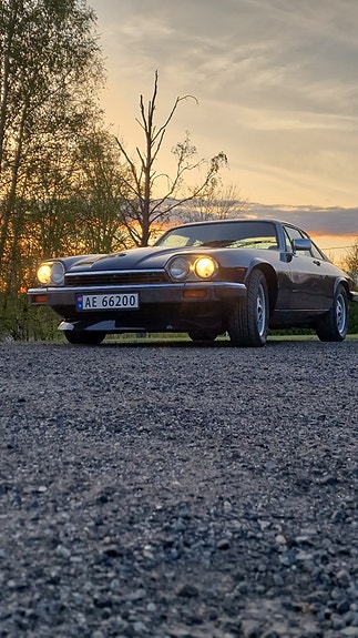 Jaguar XJS 13 of 19