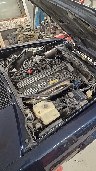 Jaguar XJS 11 of 19