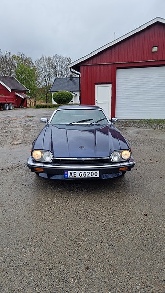 Jaguar XJS 5 of 19