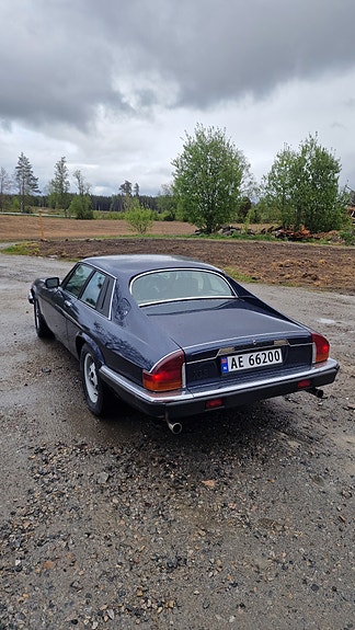 Jaguar XJS 4 of 19