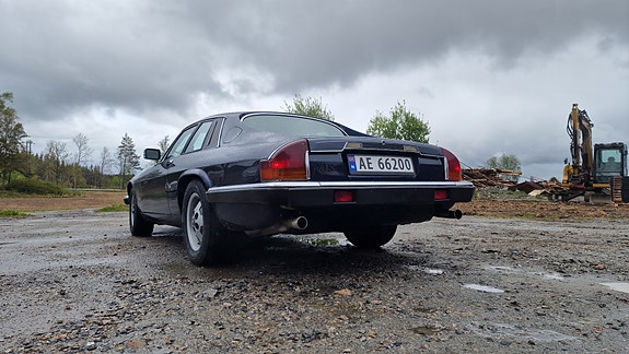 Jaguar XJS 3 of 19