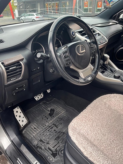 Lexus NX300h 19 of 30