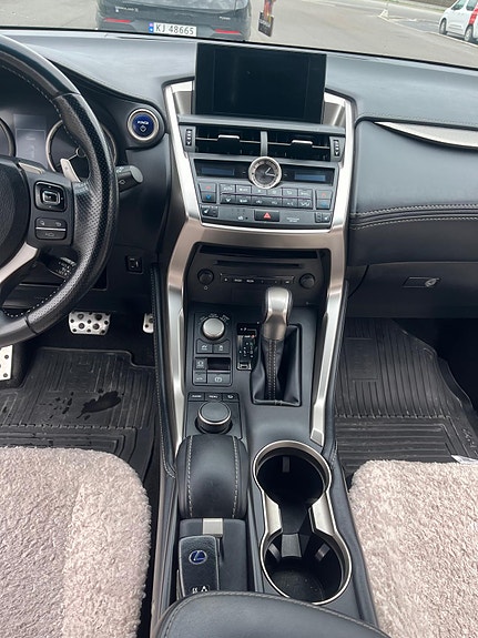 Lexus NX300h 24 of 30
