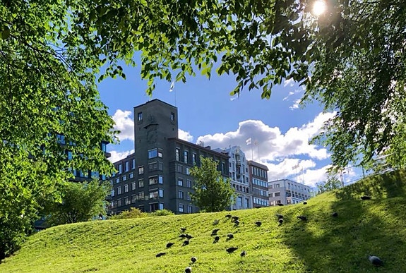 Bilde 1 av 1 i jobbannonse-galleriet