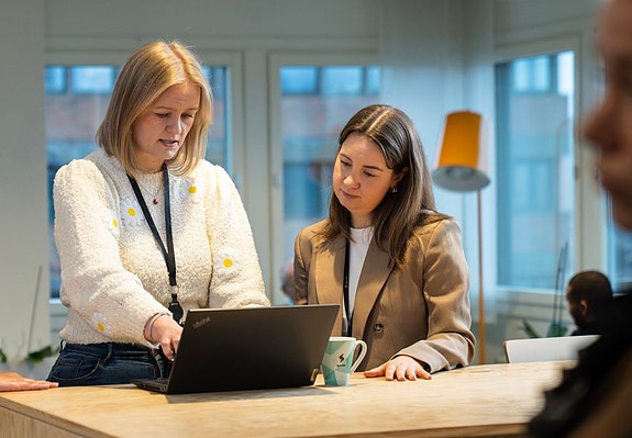 Bilde 1 av 3 i jobbannonse-galleriet