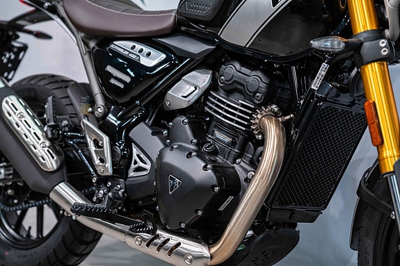 Triumph Scrambler 400X - AGM Edition - Toppboks og varmeholker for kun 4000 kroner! 5 of 5