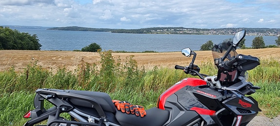 Triumph Tiger 1200 GT EXPLORER 23 of 30