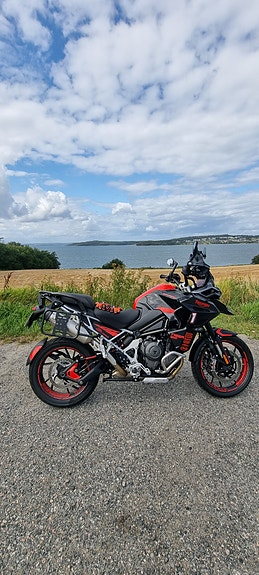 Triumph Tiger 1200 GT EXPLORER 24 of 30