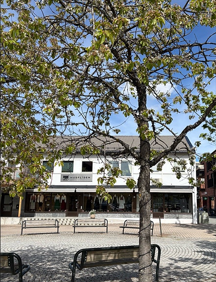 Bilde 3 av 10 i jobbannonse-galleriet