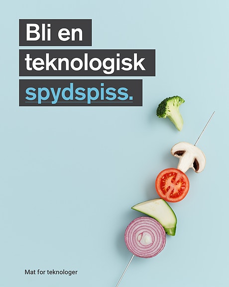 Bilde 2 av 3 i jobbannonse-galleriet