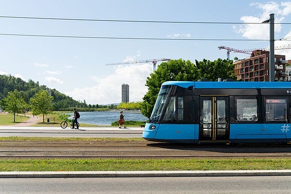 Bilde 1 av 3 i jobbannonse-galleriet