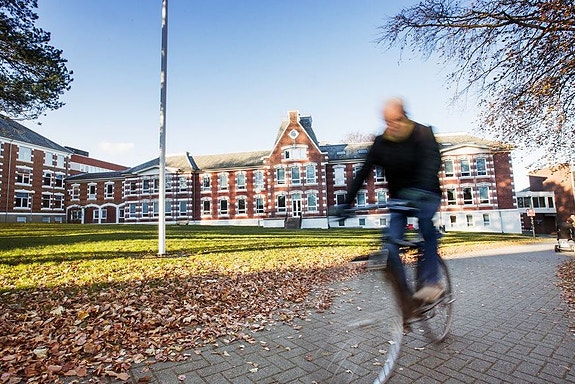 Bilde 2 av 3 i jobbannonse-galleriet