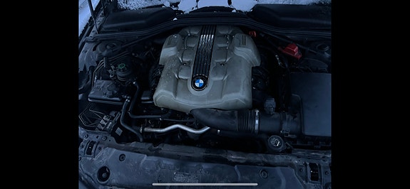 BMW 545i 15 of 16