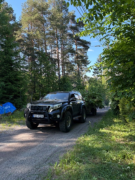 Toyota Land Cruiser 12 of 12