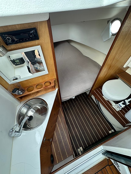 Coaster 800 Sport 11 of 22