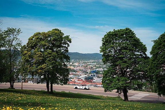Bilde 2 av 3 i jobbannonse-galleriet