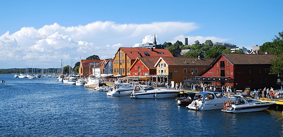 Bilde 1 av 1 i jobbannonse-galleriet