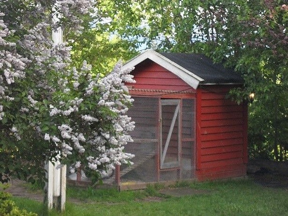 Hønsegård