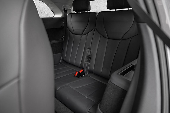Hongqi E-HS9 19 of 30