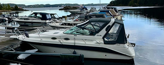 Sea Ray 290 Sundanser 2 of 5