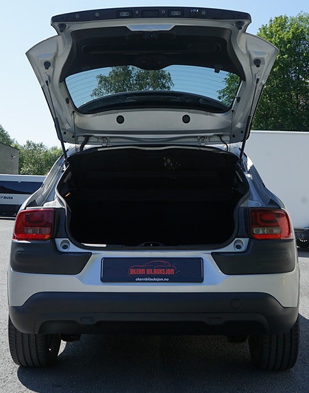 Citroen C4 Cactus 30 of 30