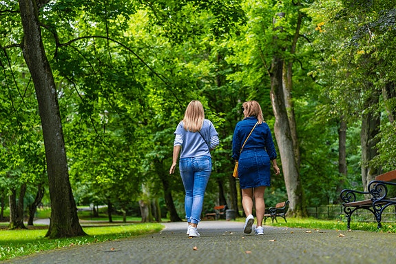 Bilde 1 av 1 i jobbannonse-galleriet