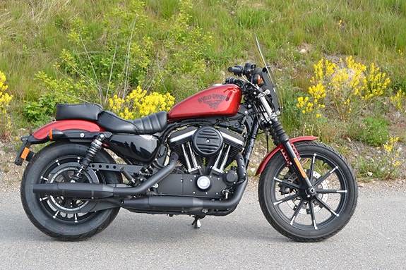 Harley-Davidson XL 883N Iron 5 of 20