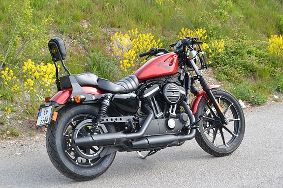 Harley-Davidson XL 883N Iron 7 of 20