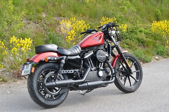 Harley-Davidson XL 883N Iron 8 of 20