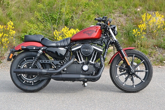 Harley-Davidson XL 883N Iron 6 of 20