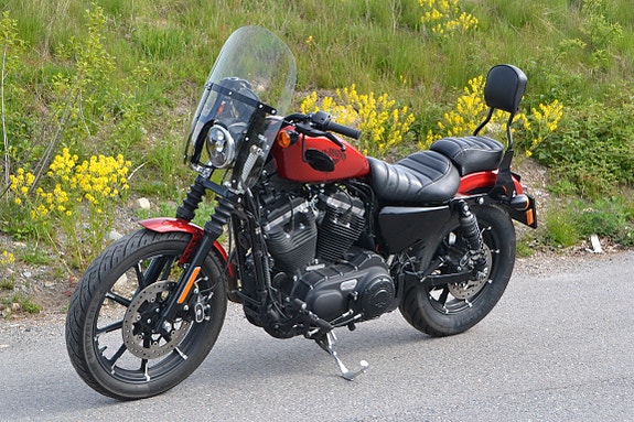 Harley-Davidson XL 883N Iron 13 of 20