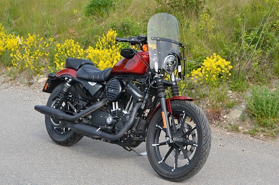 Harley-Davidson XL 883N Iron 2 of 20