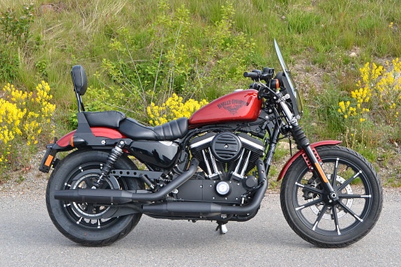 Harley-Davidson XL 883N Iron 4 of 20