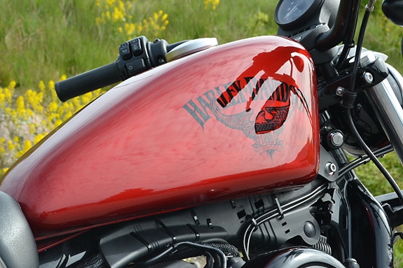 Harley-Davidson XL 883N Iron 16 of 20