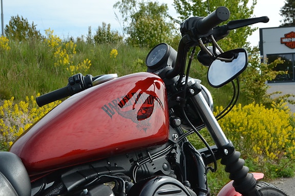 Harley-Davidson XL 883N Iron 15 of 20
