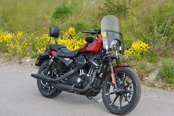 Harley-Davidson XL 883N Iron 3 of 20