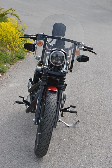 Harley-Davidson XL 883N Iron 14 of 20