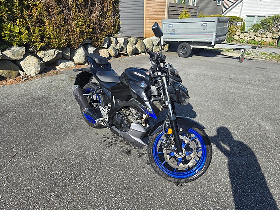 Suzuki GSX-S 125 6 of 6