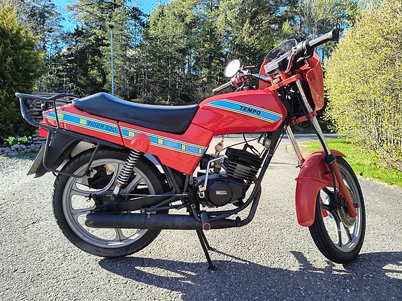 Tempo Tiger 3 of 5
