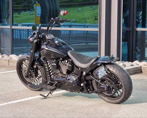 Harley-Davidson Softail Custom 10 of 30