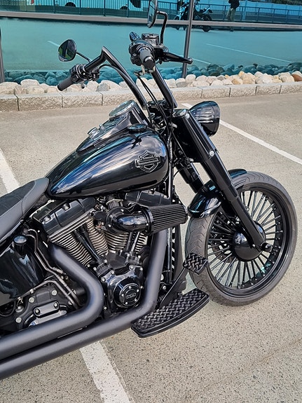 Harley-Davidson Softail Custom 25 of 30