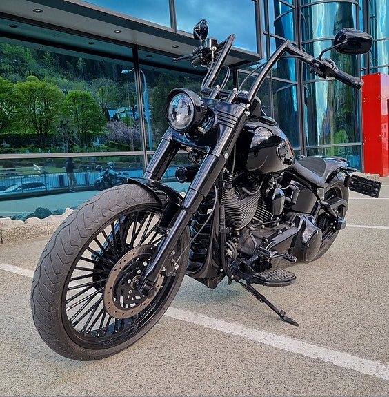 Harley-Davidson Softail Custom 18 of 30