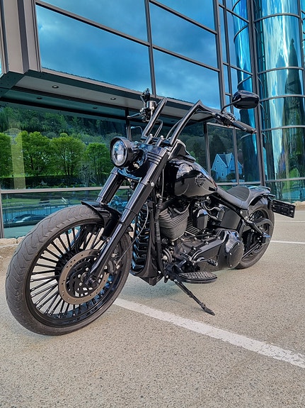 Harley-Davidson Softail Custom 13 of 30